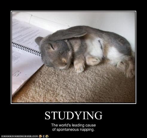 Zzzzzzz...... Cover Image for Studying